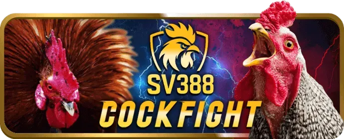 Cá cược bóng đá 88goo